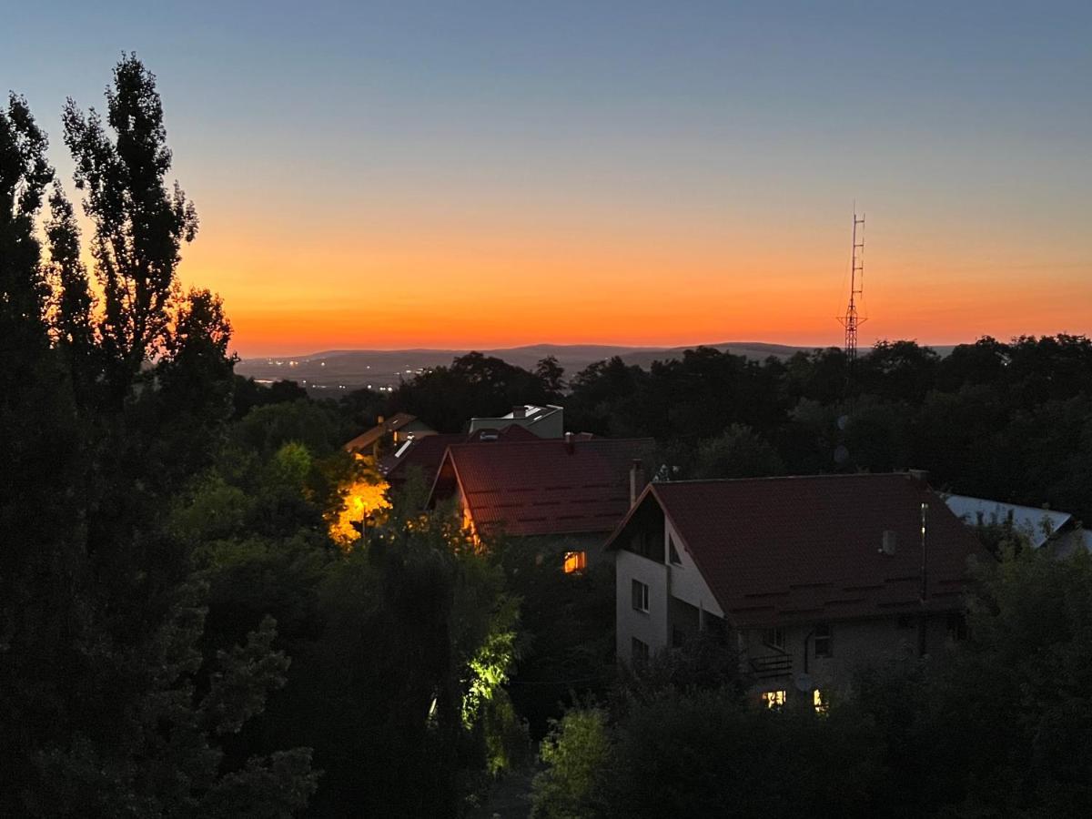 Altheda Living Zamca Apartment Suceava Luaran gambar